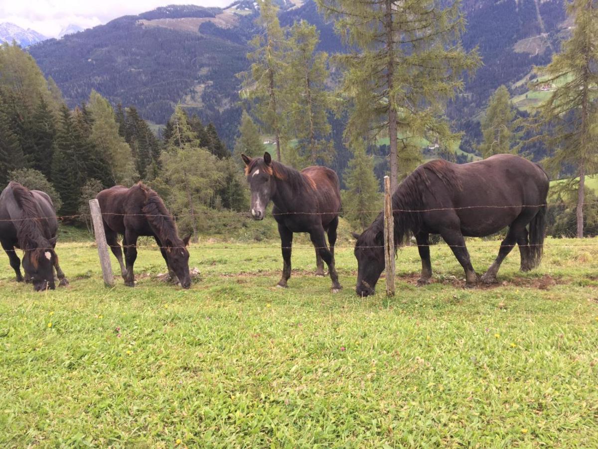 Lindbichlhof Urlaub Am Bio Bauernhof Apartman Sankt Johann im Pongau Kültér fotó