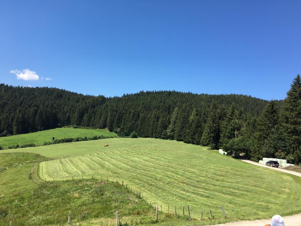 Lindbichlhof Urlaub Am Bio Bauernhof Apartman Sankt Johann im Pongau Kültér fotó