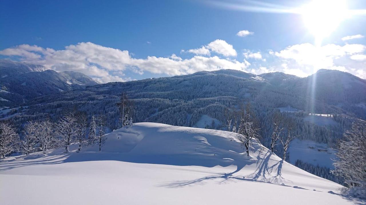 Lindbichlhof Urlaub Am Bio Bauernhof Apartman Sankt Johann im Pongau Kültér fotó