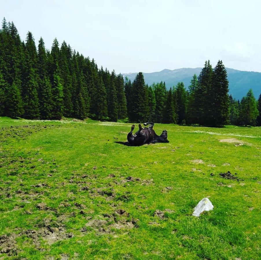 Lindbichlhof Urlaub Am Bio Bauernhof Apartman Sankt Johann im Pongau Kültér fotó
