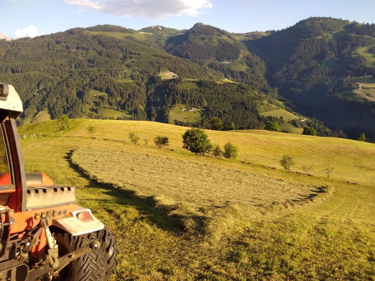 Lindbichlhof Urlaub Am Bio Bauernhof Apartman Sankt Johann im Pongau Kültér fotó
