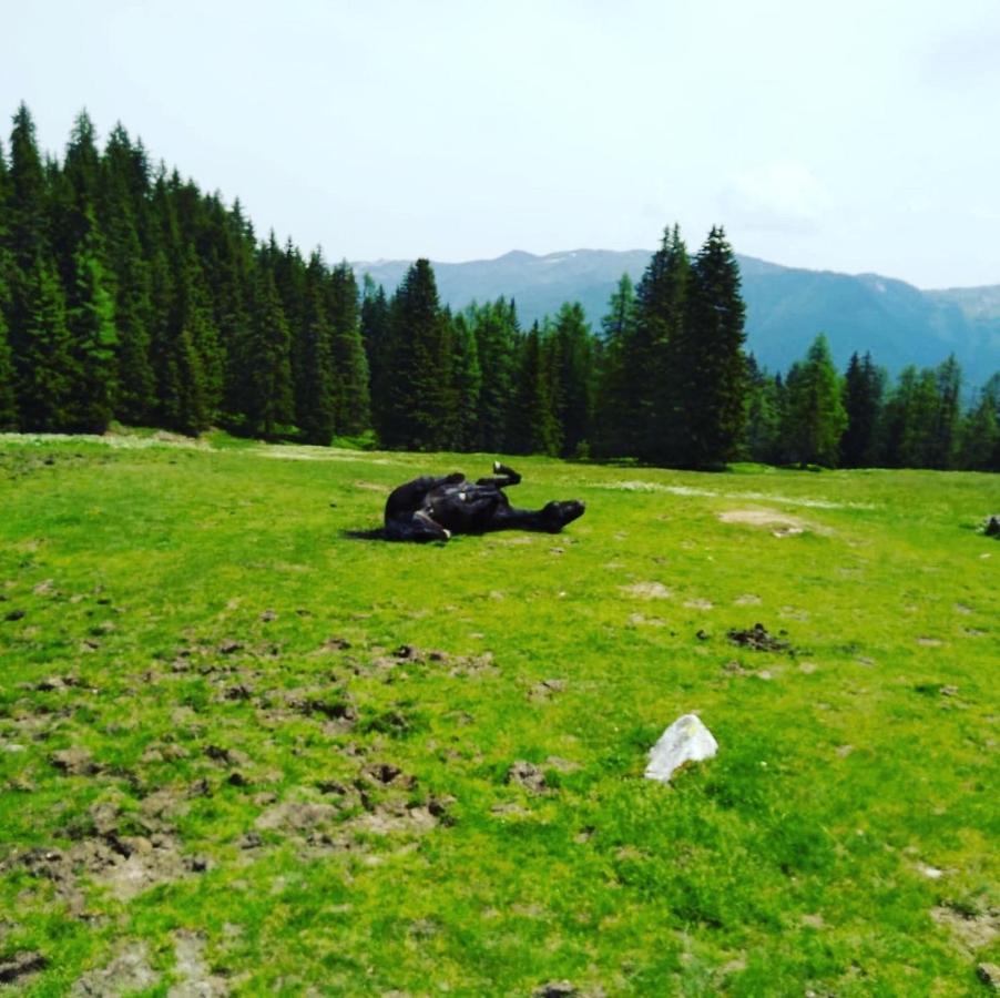 Lindbichlhof Urlaub Am Bio Bauernhof Apartman Sankt Johann im Pongau Kültér fotó
