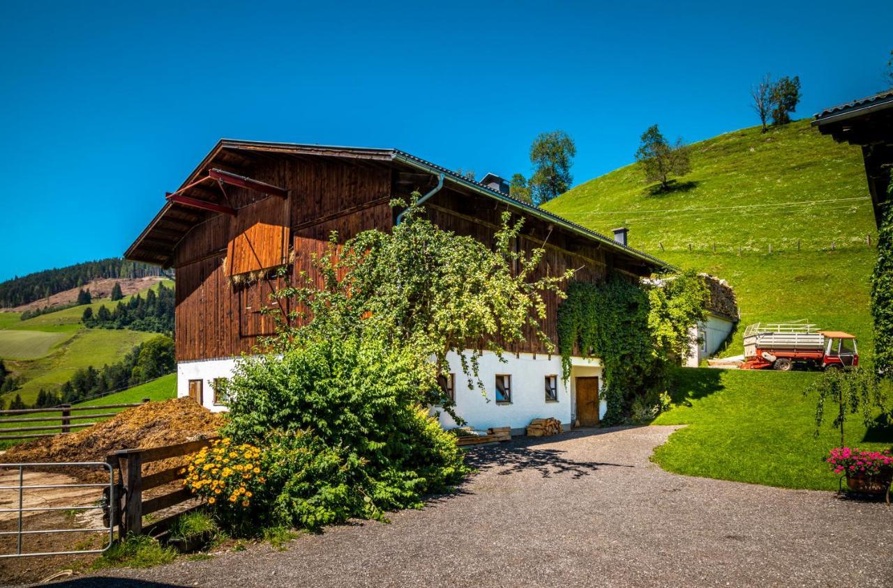 Lindbichlhof Urlaub Am Bio Bauernhof Apartman Sankt Johann im Pongau Kültér fotó