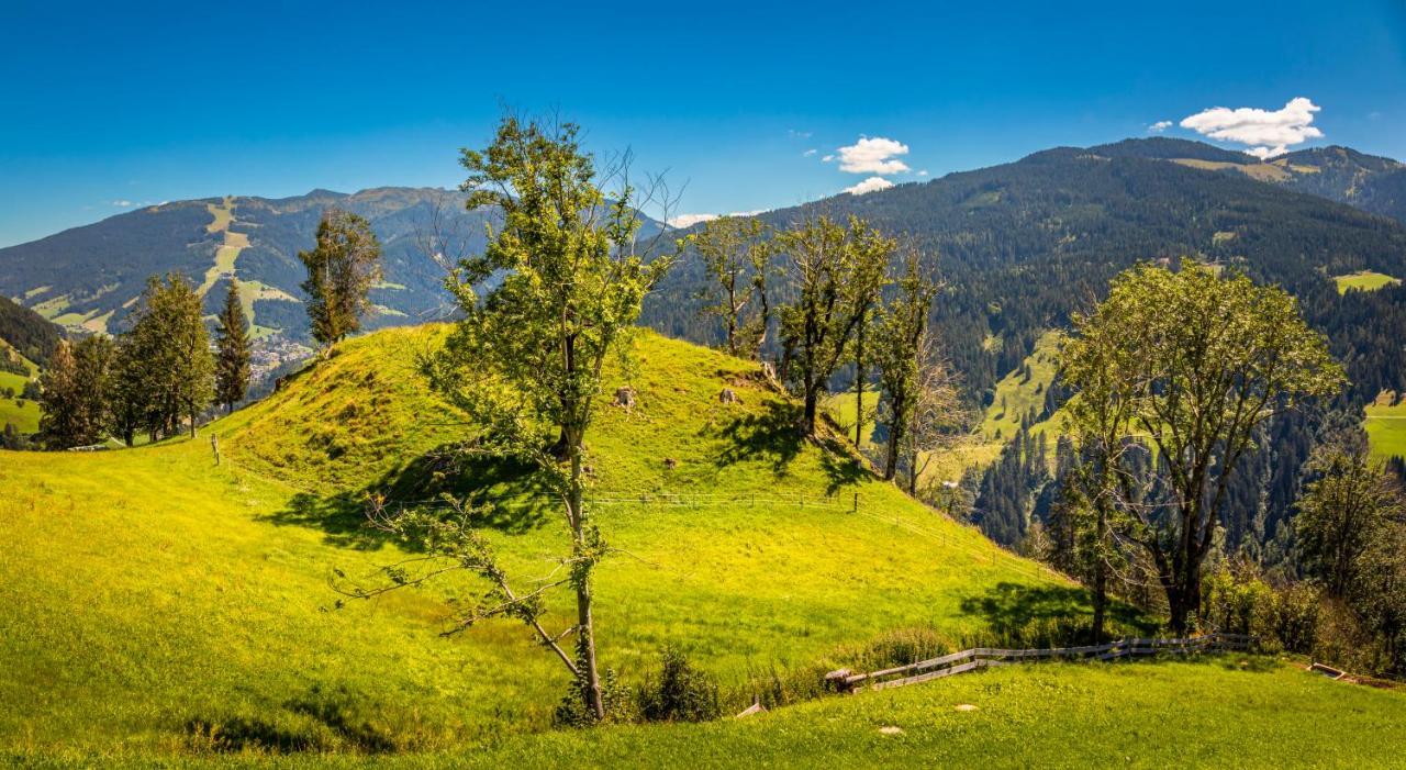 Lindbichlhof Urlaub Am Bio Bauernhof Apartman Sankt Johann im Pongau Kültér fotó