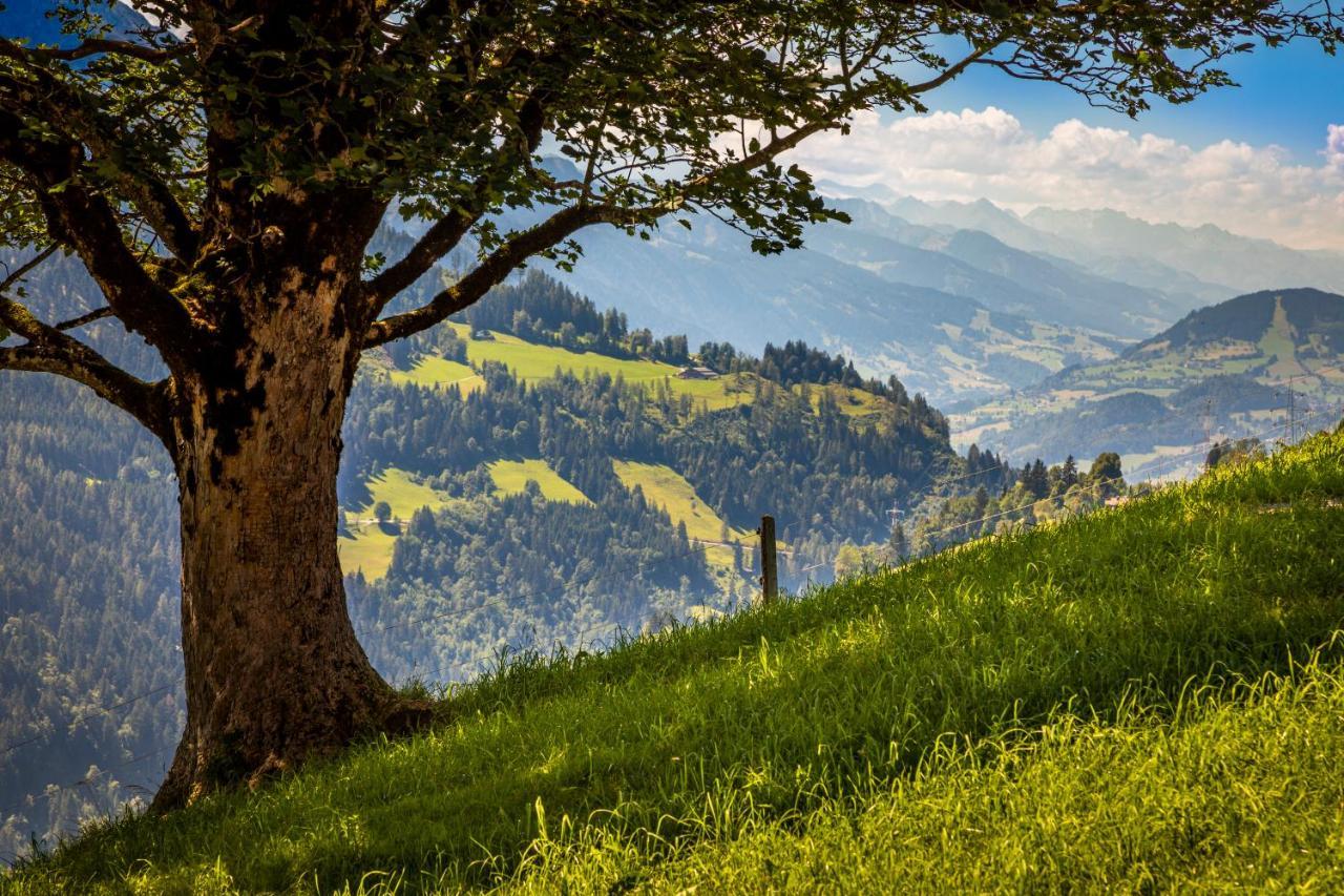 Lindbichlhof Urlaub Am Bio Bauernhof Apartman Sankt Johann im Pongau Kültér fotó