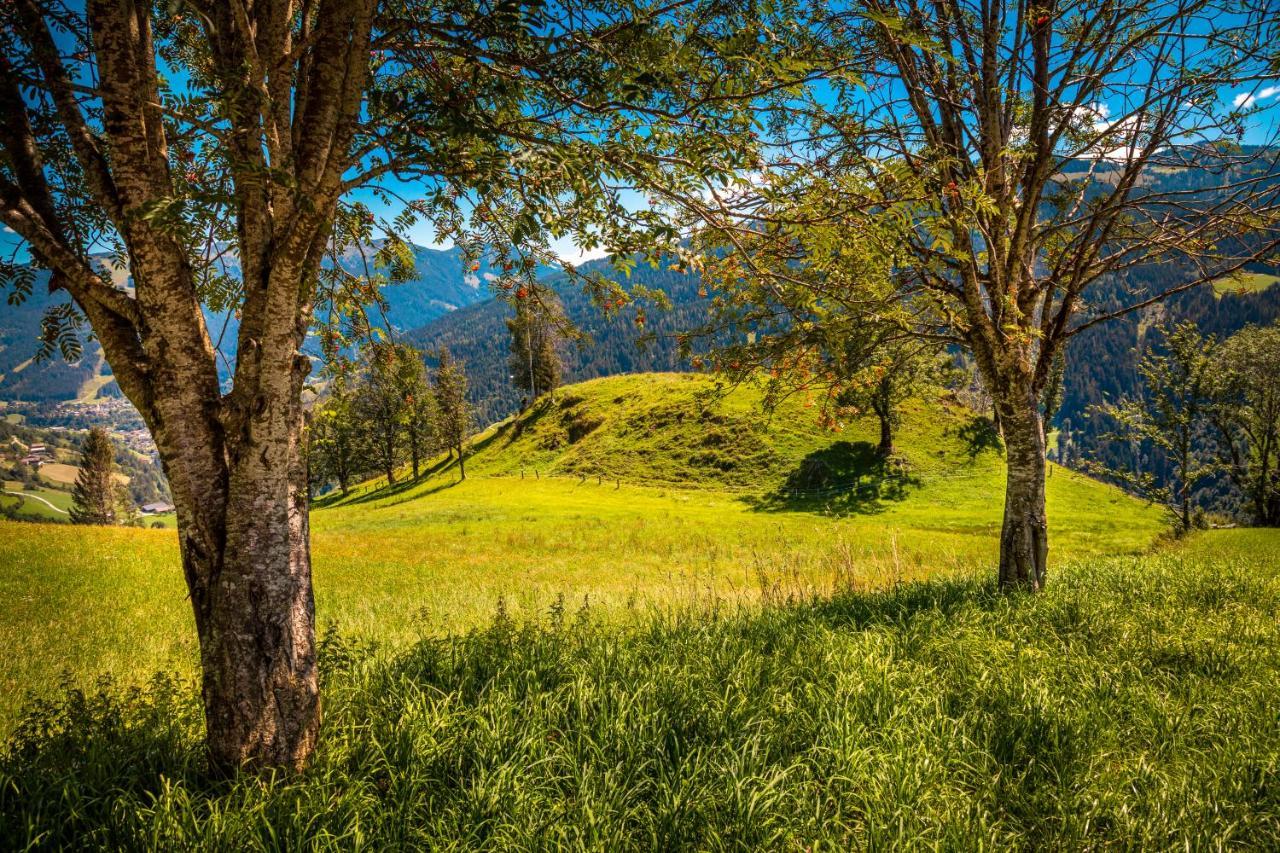 Lindbichlhof Urlaub Am Bio Bauernhof Apartman Sankt Johann im Pongau Kültér fotó